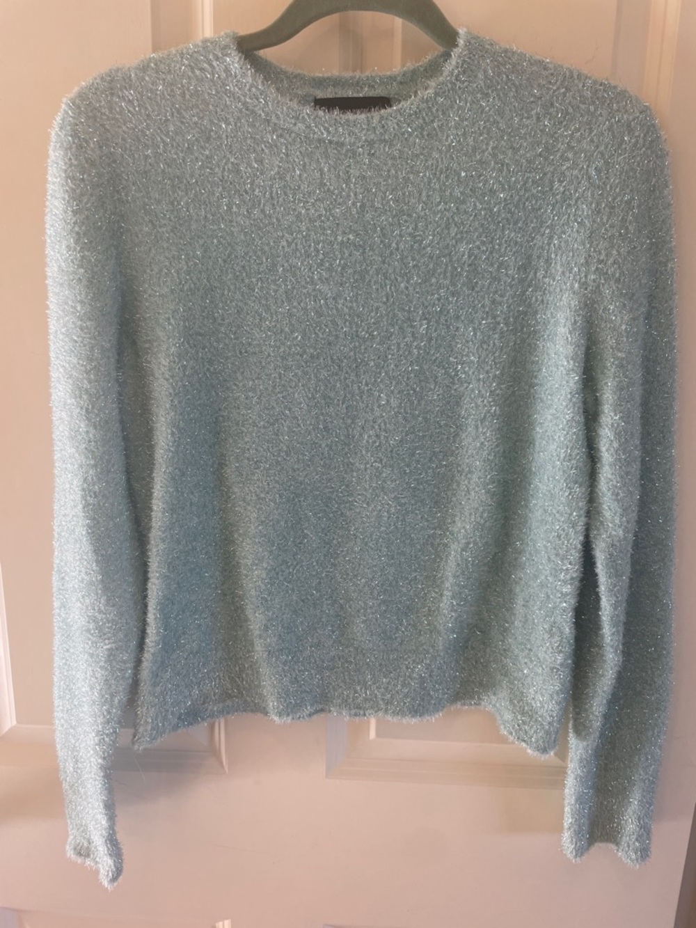 Banana Republic Pale Green Sparkly Crewneck Sweater